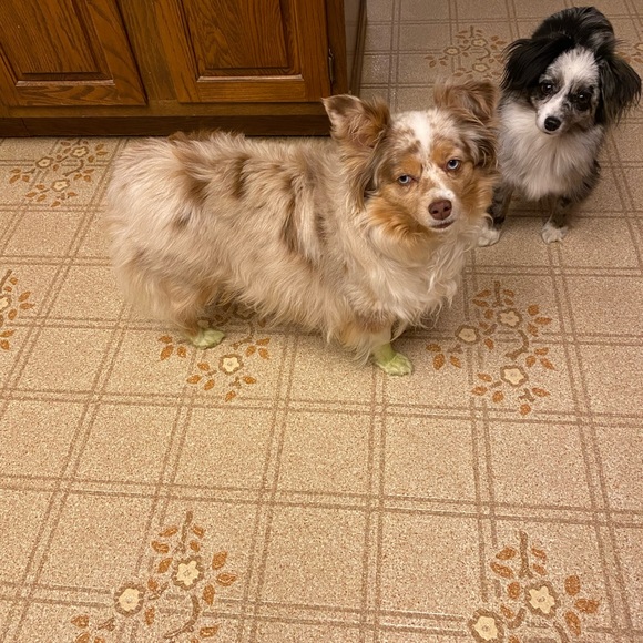 Meet your Posher, Susan - Picture 6 of 16